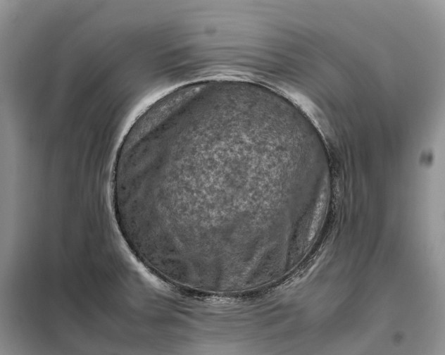 X0000098001379200804071207