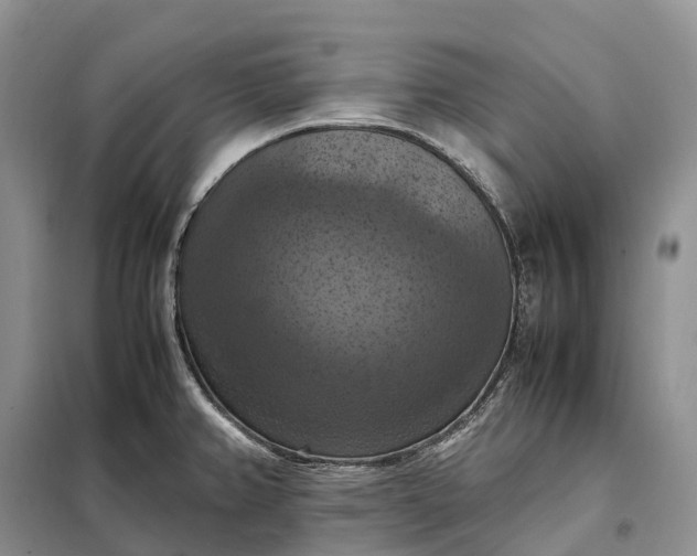 X0000098001382200804071207