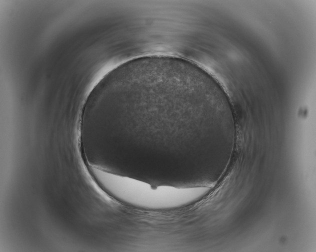 X0000098001383200804071207