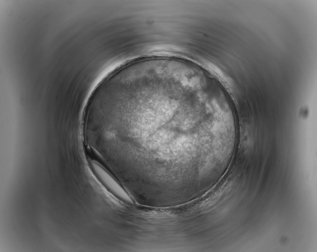 X0000098001384200804071207