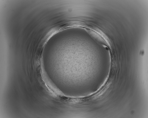 X0000098001385200804071207