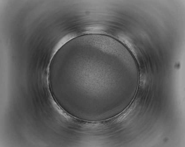 X0000098001386200804071207