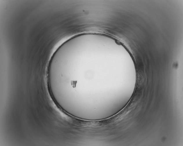 X0000098001387200804071207