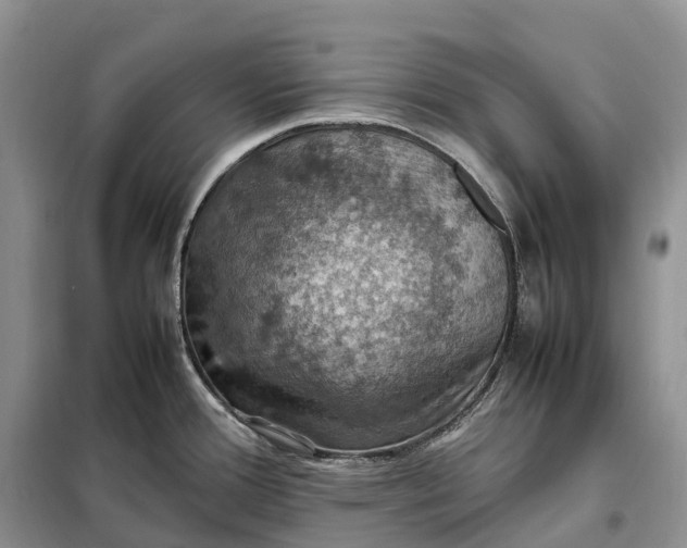 X0000098001388200804071207