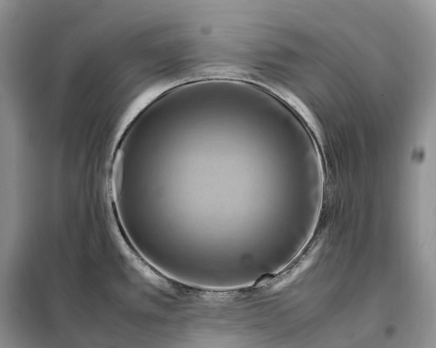 X0000098001389200804071207