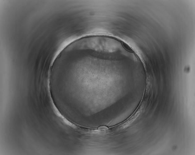 X0000098001390200804071207