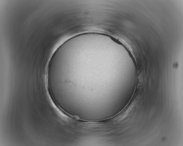 X0000098001391200804071207