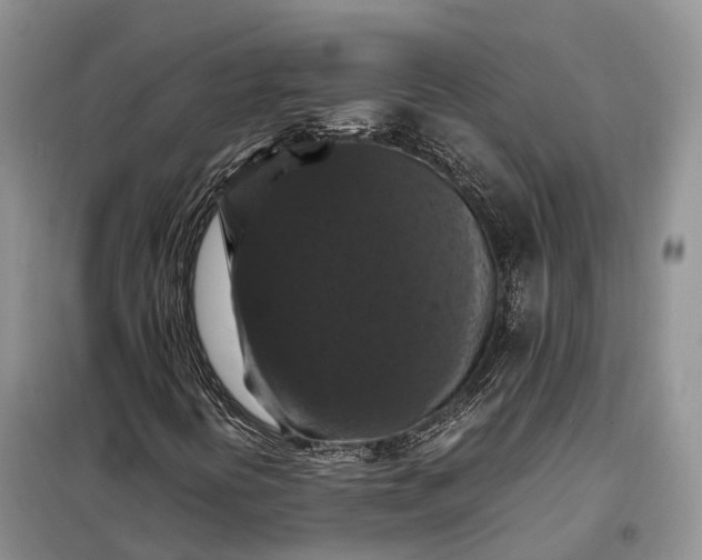 X0000098001394200804071206