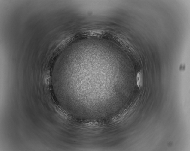 X0000098001395200804071206