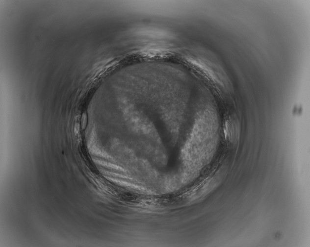X0000098001396200804071206