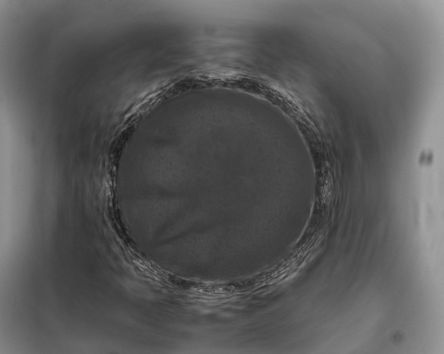 X0000098001397200804071206