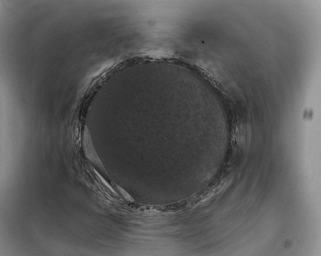 X0000098001398200804071206