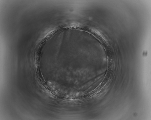 X0000098001399200804071206