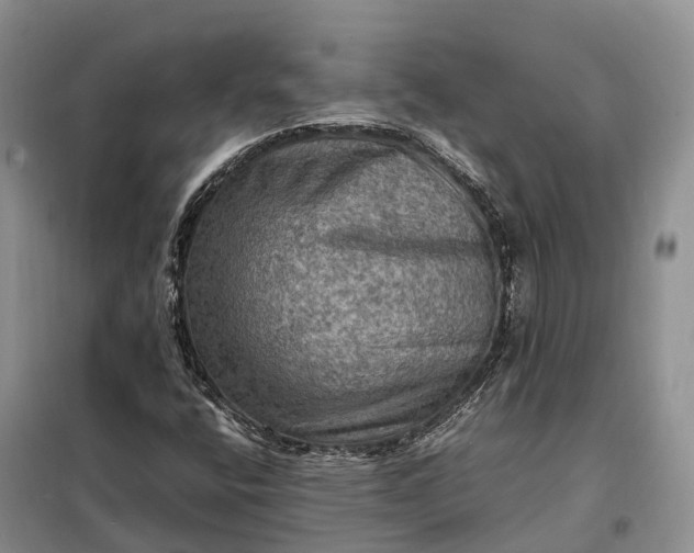 X0000098001400200804071206