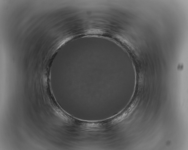X0000098001401200804071206