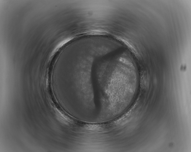 X0000098001402200804071206