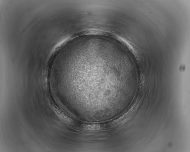 X0000098001403200804071206