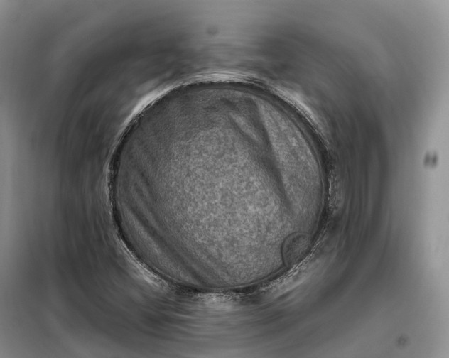 X0000098001404200804071206