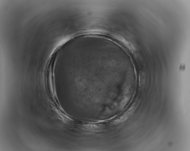 X0000098001405200804071206