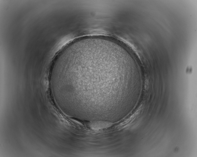 X0000098001407200804071206