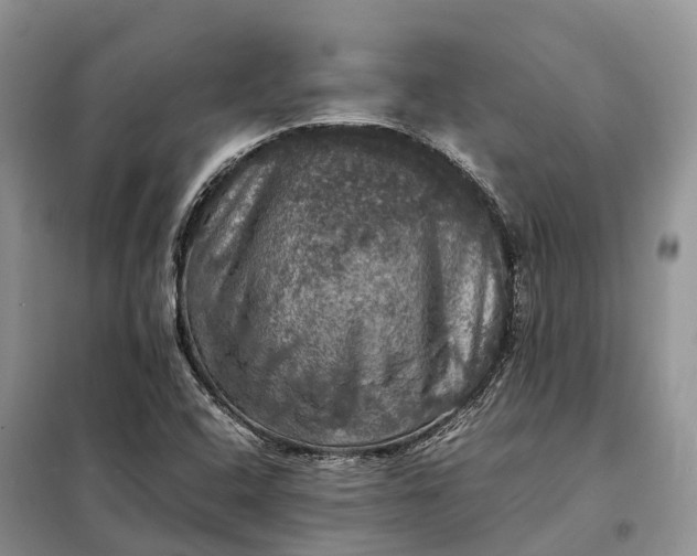 X0000098001408200804071206