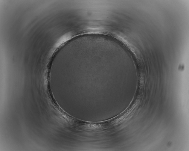 X0000098001411200804071206