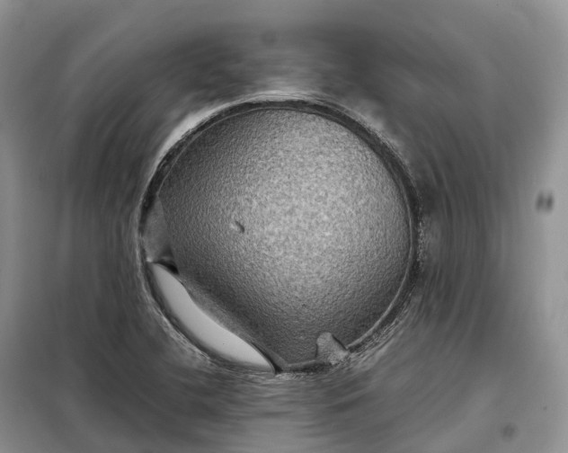 X0000098001412200804071206