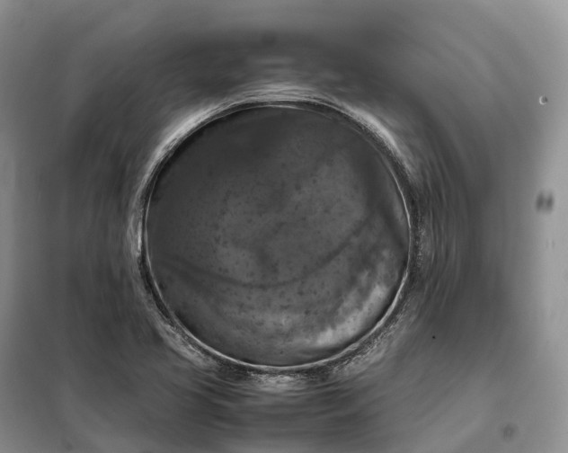 X0000098001413200804071206