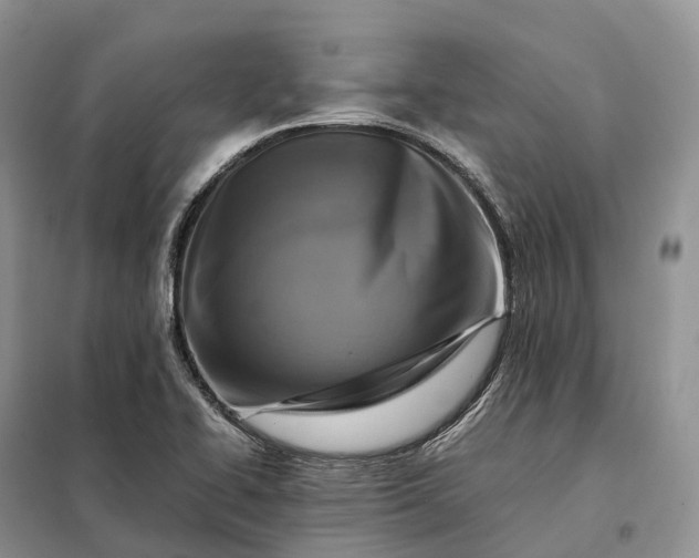 X0000098001414200804071206