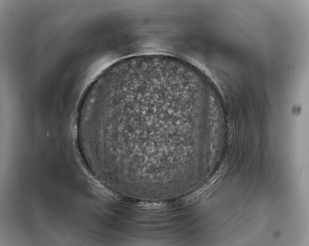X0000098001415200804071206