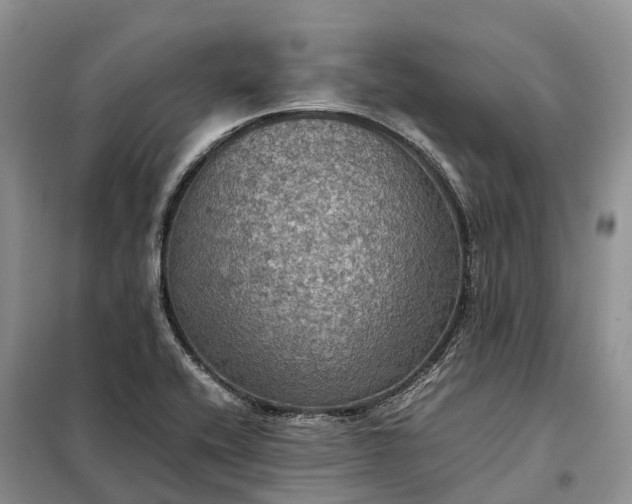 X0000098001416200804071206