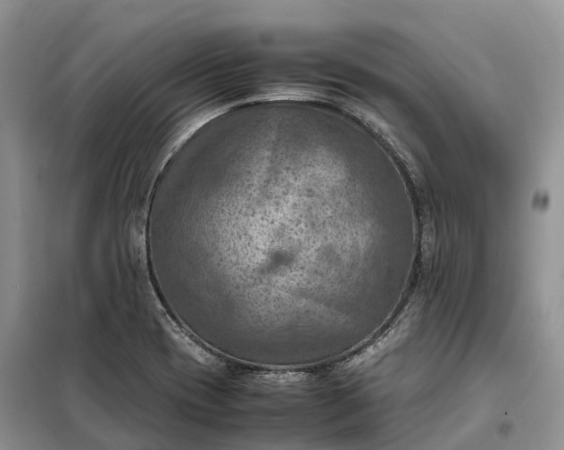 X0000098001417200804071206