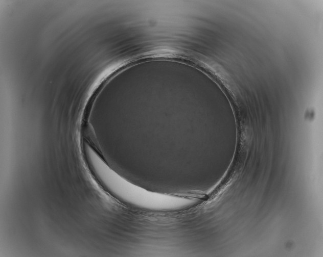 X0000098001418200804071206