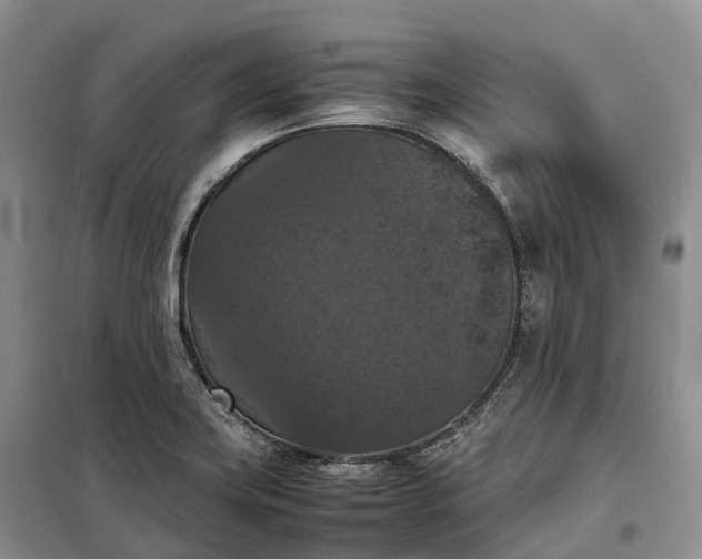 X0000098001419200804071206