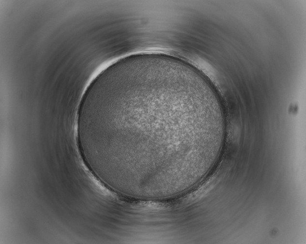 X0000098001420200804071206