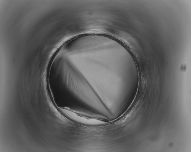 X0000098001422200804071206