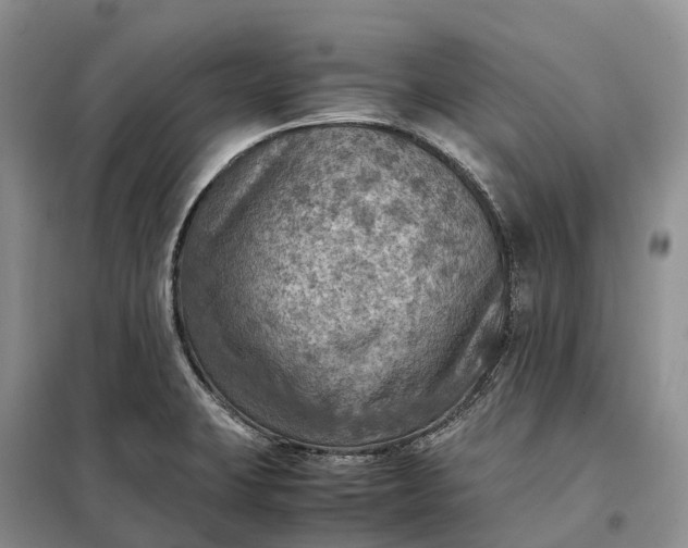 X0000098001423200804071207
