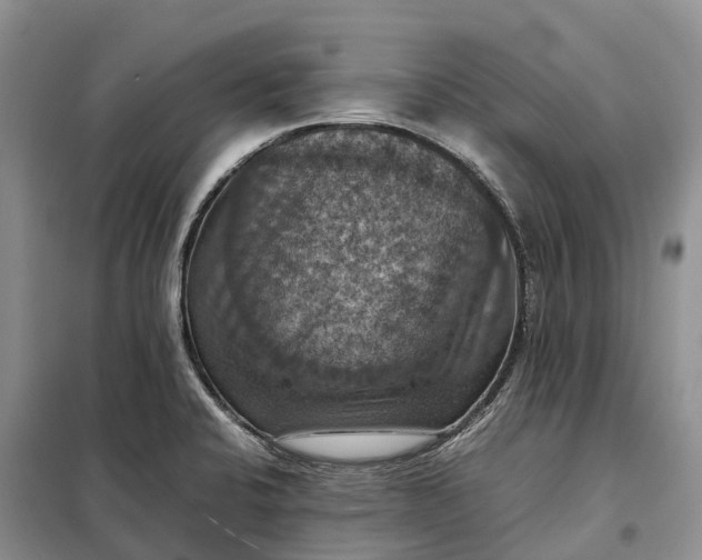 X0000098001424200804071207