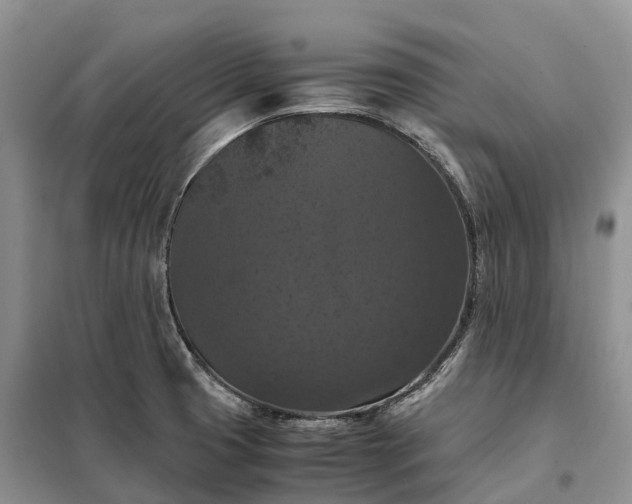 X0000098001425200804071207