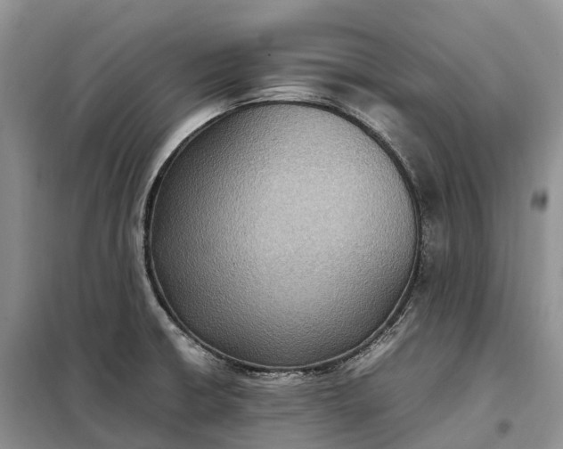 X0000098001426200804071207