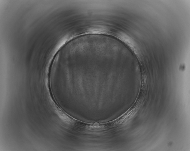 X0000098001427200804071207