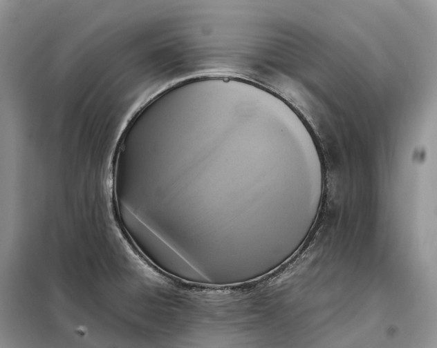 X0000098001428200804071207
