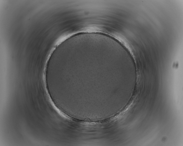 X0000098001429200804071207