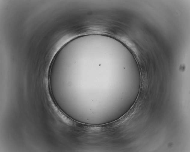 X0000098001431200804071207