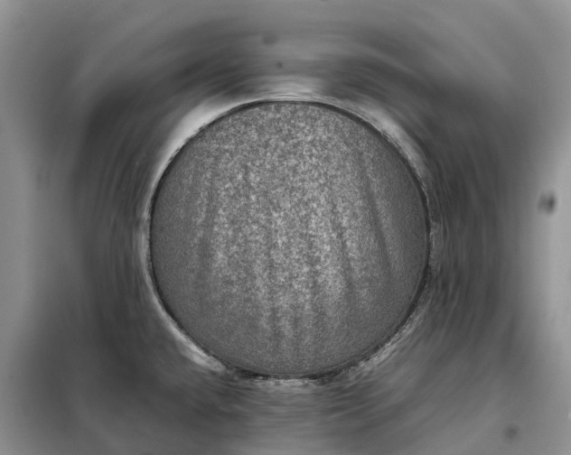 X0000098001432200804071207