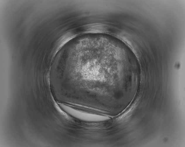 X0000098001433200804071207