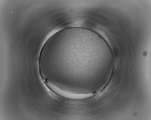 X0000098001434200804071207