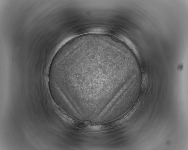 X0000098001435200804071207