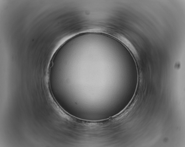 X0000098001436200804071207