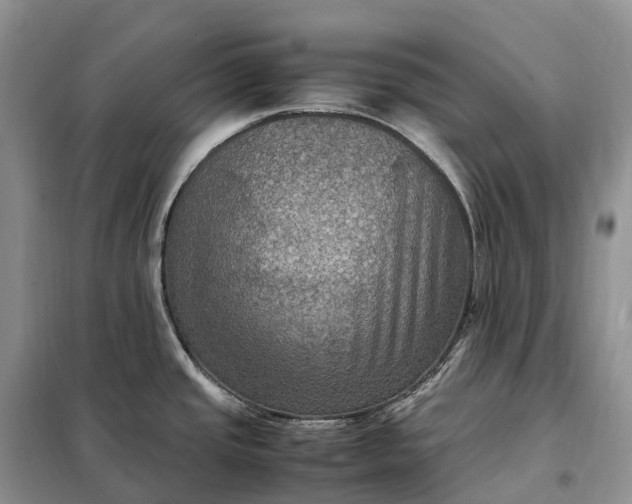 X0000098001437200804071207